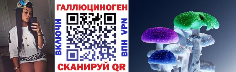 Псилоцибиновые грибы Magic Shrooms как найти закладки Ладушкин